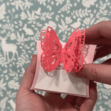 Load image into Gallery viewer, Butterfly Insect Gift Pillow 3D Box - Digital Download