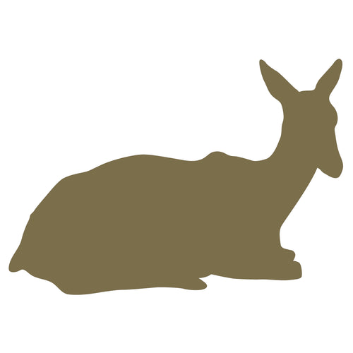 Doe - Digital Download