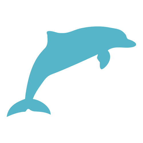 Dolphin - Digital Download