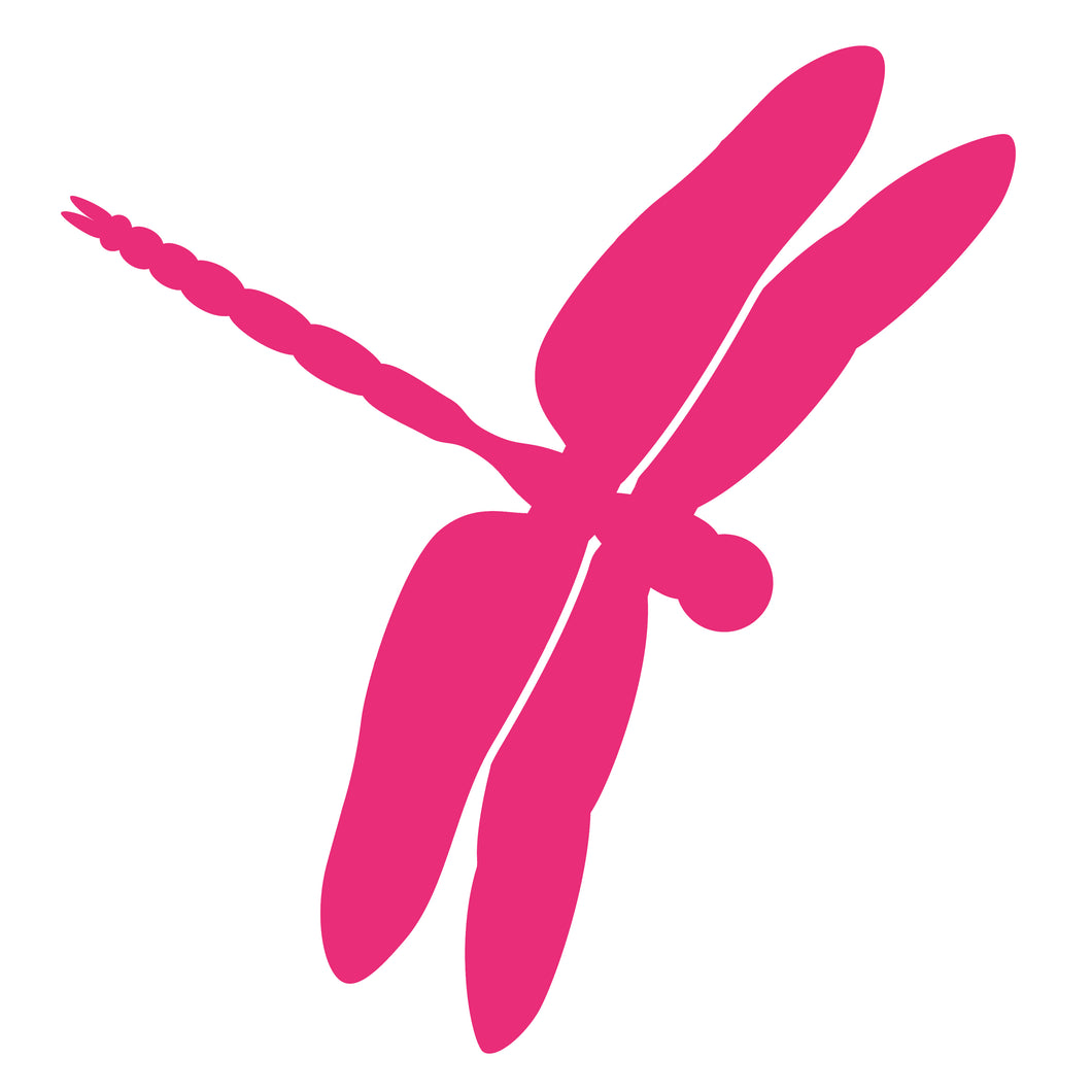 Dragonfly - Digital Download