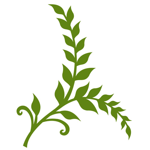 Floating Fern - Digital Download