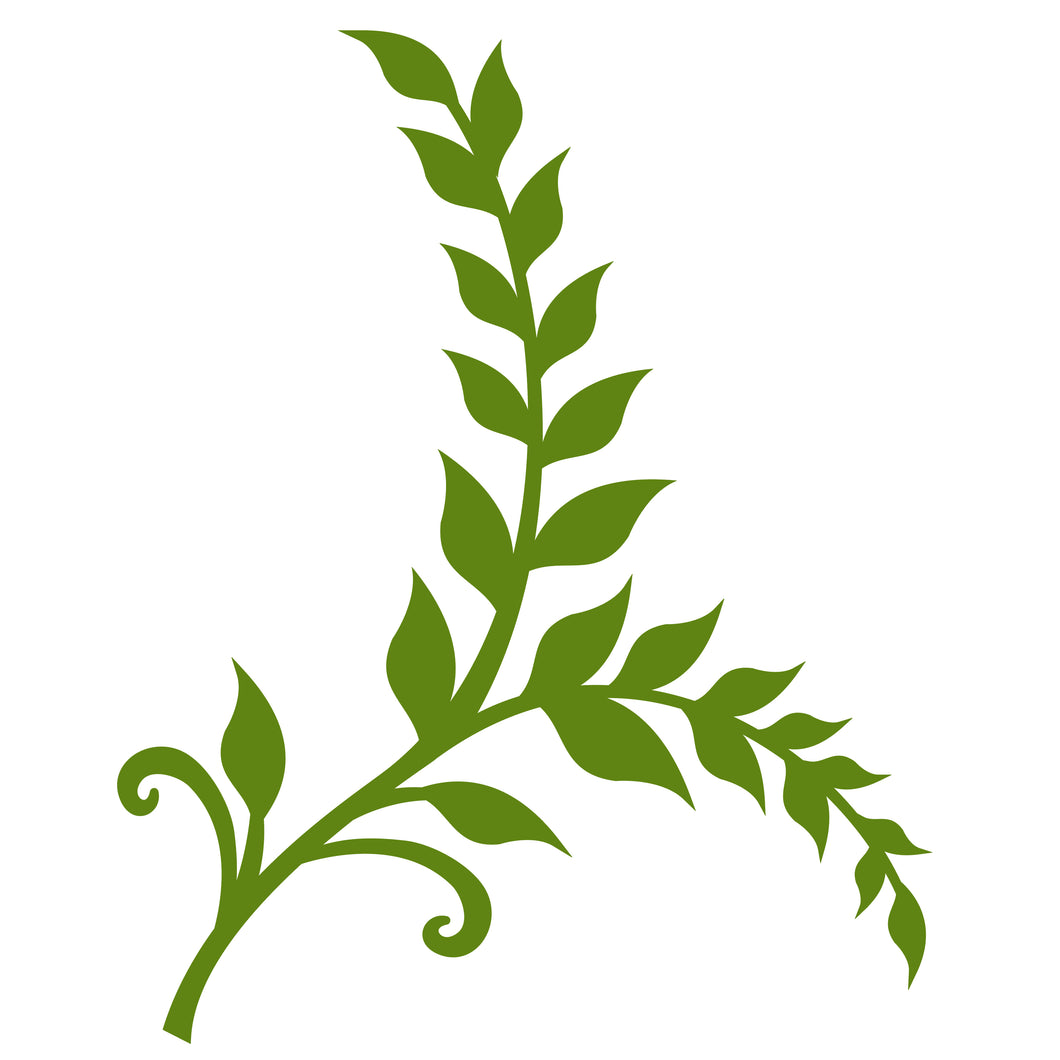 Floating Fern - Digital Download