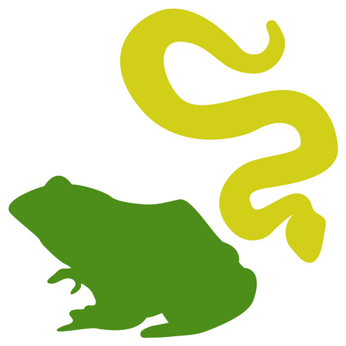 Frog and Snake - Digital Download