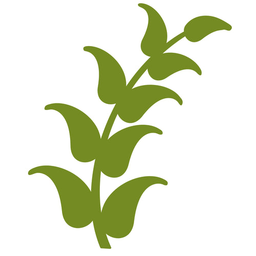 Long Leaves - Digital Download