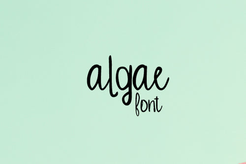 CG Algae Font - Digital Download