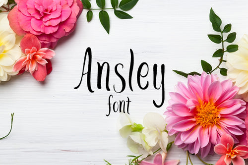CG Ansley Font - Digital Download