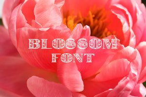 CG Blossom Font - Digital Download