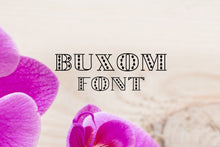 Load image into Gallery viewer, CG Buxom Font - Digital Download