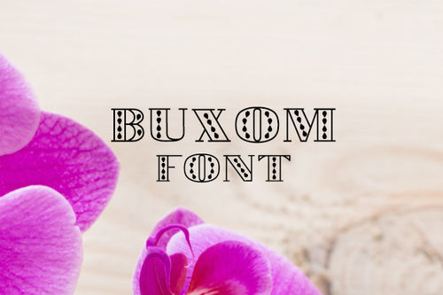 CG Buxom Font - Digital Download