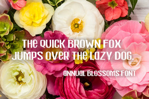 CG Annual Blossom Font - Digital Download