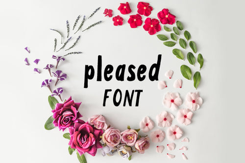 CG Pleased Font - Digital Download