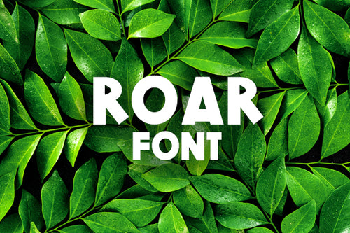 CG Roar Font - Digital Download