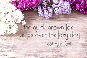 CG Cottage Font - Digital Download