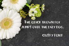 Load image into Gallery viewer, CG Crispy Font - Digital Download