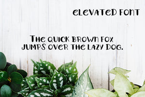 CG Elevated Font - Digital Download