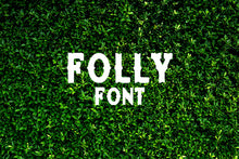 Load image into Gallery viewer, CG Folly Font - Digital Download