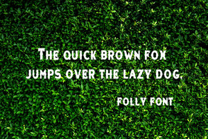 CG Folly Font - Digital Download