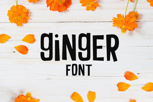 CG Ginger Font - Digital Download