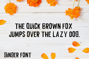 CG Ginger Font - Digital Download