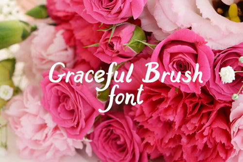 CG Graceful Thick Brush Font - Digital Download