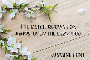 Cg Jasmine Font - Digital Download