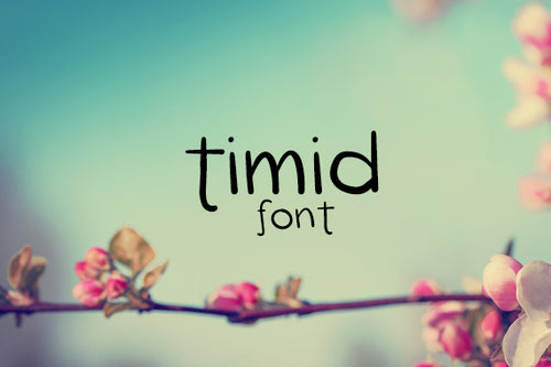 CG Timid Font - Digital Download