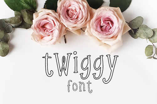 CG Twiggy Font - Digital Download