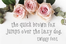 Load image into Gallery viewer, CG Twiggy Font - Digital Download